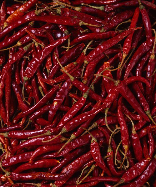 CAYENNE PEPPER