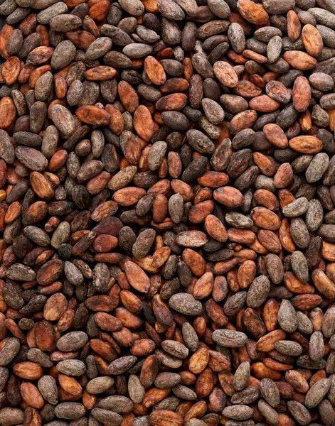 COCOA BEANS