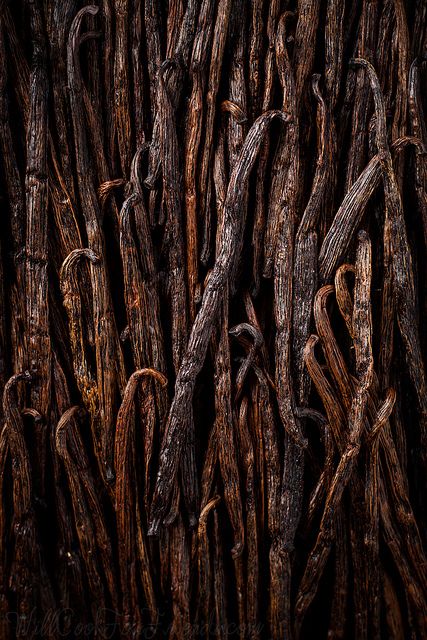 VANILLA PODS